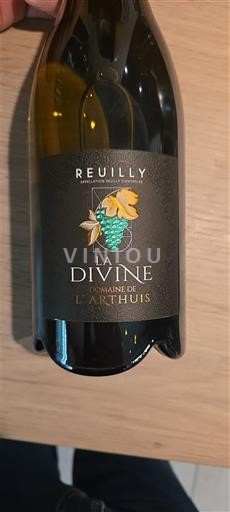 Valle della Loira Reuilly Domaine L'Arthuis La Divine 2023