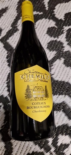 Bourgondië Bourgondische heuvels Château Chemilly Niet-geïntegreerd