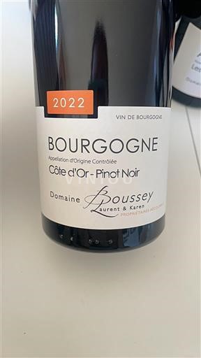 Bourgogne Bourgogne Côte d'Or Domaine Boussey Côte d'Or - Pinot Noir 2022