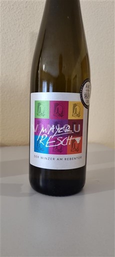 Nederøstrig Kremstal DAC Mayer Resch Grüner Veltliner Stein 2024