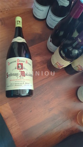 Borgoña Santenay Premier Cru Domaine Prieur-Brunet 2009