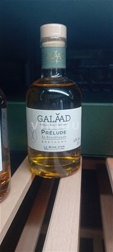 Bretonija Bretanja GALAAD PRÉLUDE Neleten.