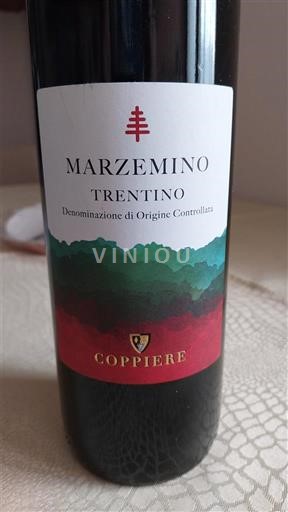 Trentino-Alto Adige Vini del Trentino-Alto Adige Coppiere 2023