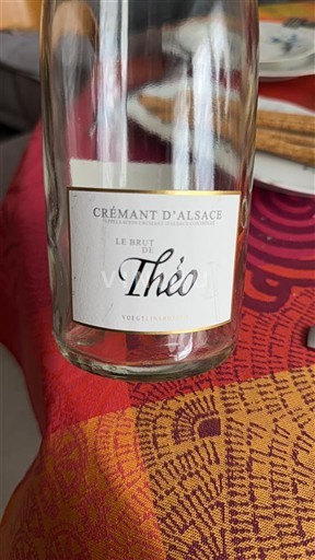 Alsácia Crémant da Alsácia Vœgtlinshoffen Le Brut de Théo Não Sazonado