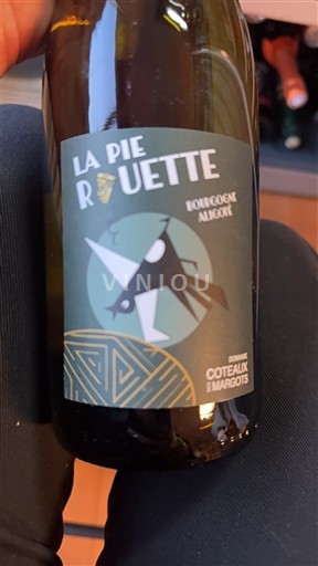 Vini Blanc demi-sec La Pie Rouette Domaine Coteaux des Margots 2024 Francia Borgogna Borgogna Aligoté AOC