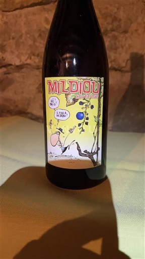 Vallese Humagne Rouge Cave Betrisey Mildiou 2021