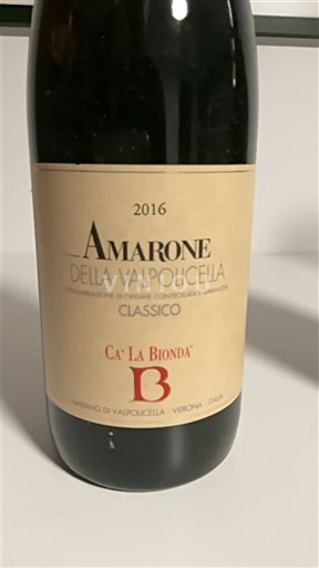 Veneto Amarone della Valpolicella Ca' La Bionda Classico 2016