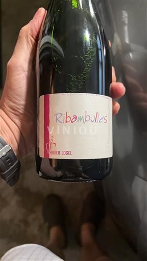 Valle della Loira Non specificato Verdier-Logel Ribambulles Senza annata