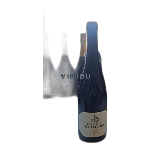 Vallée de la Loire Anjou Domaine Petit Clocher 2020