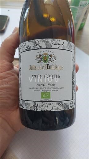 Provence, hạ lưu Rhône, Corse Thân Vương quốc Orange Julien de l'Embisque Vitis Fortis 2024