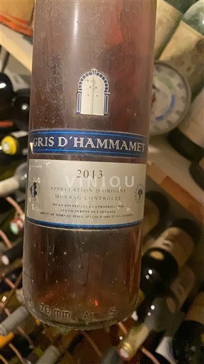 Tunis Mornag Gris d'Hammamet 2013