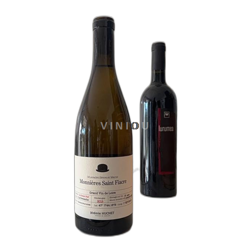 Valle della Loira Muscadet Sèvre et Maine Château Château-Thébaud Monnières Saint Fiacre 2015