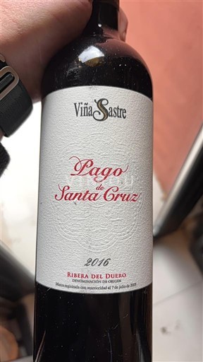 Castilië en León Ribera del Duero Viña Sastre Pago de Santa Cruz 2016