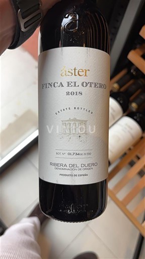 Castille và León Ribera del Duero Áster Finca El Otero 2018