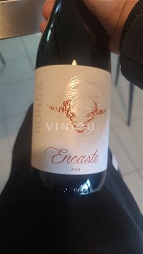 Andalusia Condado de Huelva Encaste 2024