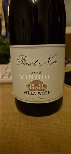 Palatinat Pfalška Villa Wolf 2022