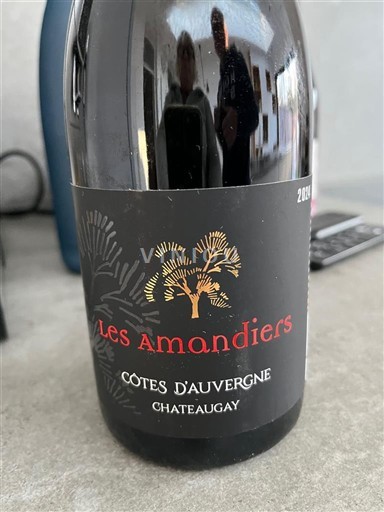 Loirevallei Côtes-d'Auvergne Château Augay Les Amandiers 2024