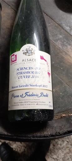 Alsácia Château Pierre et Frédéric Becht Sciences Po Strasbourg 2018 Muscat Lieu-dit Stierkopf 2017