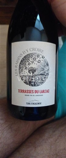 Langvedok Terrasses-du-Larzac Les Raisins d'Y Croire 2023