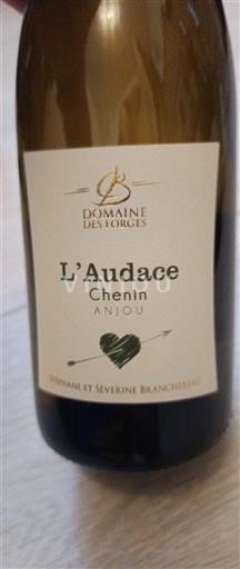 Valle della Loira Anjou Domaine S Forges L'Audace Chenin 2023