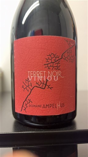 Languedoc in Roussillon Hérault Domaine Ampelhus Terret Noir 2020