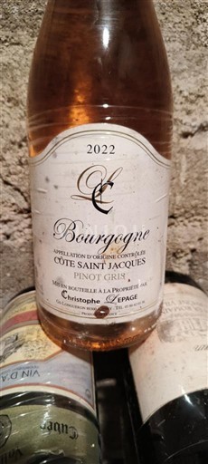 Burgundija Christophe Lepage Côte Saint Jacques Pinot Gris 2022