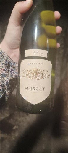 Elsass Nicht spezifiziert Michel Kurze 2023