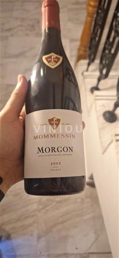 Beaujolais Morgon Mommesin 2023