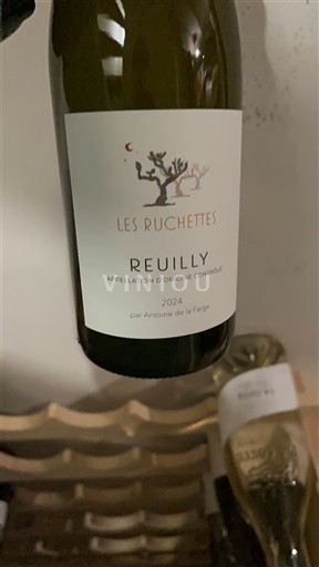 Vallée de la Loire Reuilly Domaine Antoine de la Farge Les Ruchettes 2024