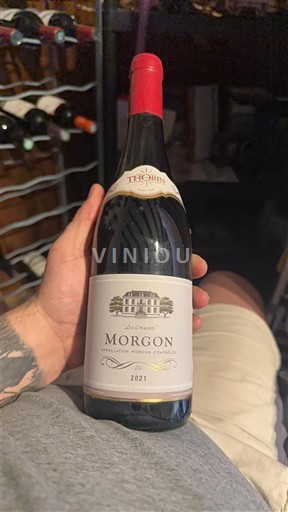 Beaujolais Morgon Thorin Les Creusots 2021
