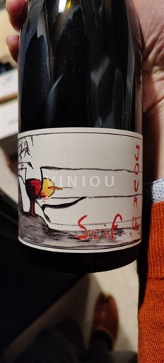 Thung lũng sông Loire Bourgueil Domaine Bel Air Jour de soif 2024