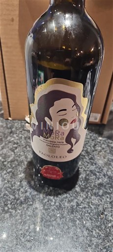 Puglia Susumaniello Salento Paololeo MaraMara 2023