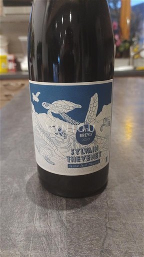 Rhônedalen Côtes du Rhône Sylvain Thevenet Vita Brevi 2020