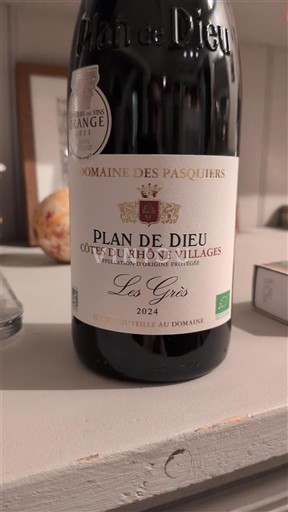 Rhône-dalen Ikke specificeret Domaine S Pasquiers Les Grès 2024