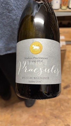 Trentino-Alto Adige Ospecificerad Markus Prackwieser Gump Hof Praesulis 2023