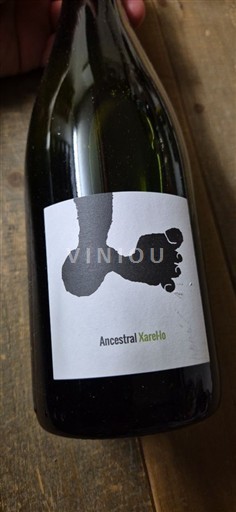 Catalonia Penedès Ancestral Xarel·lo 2022