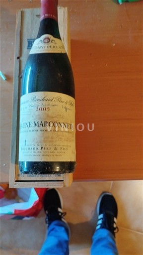 Bourgogne Beaune Premier Cru Bouchard Père & Fils Beaune Marconnets 2005