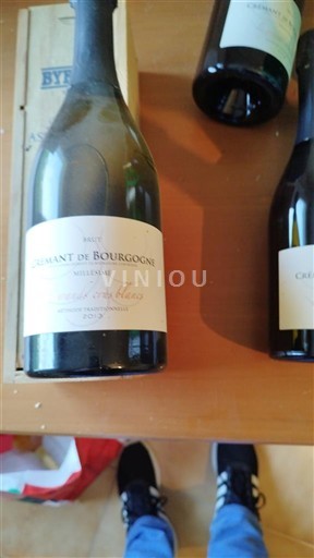 Borgonha Crémant da Borgonha Simonnet-Febvre 2013