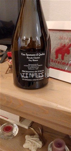 Emilia Breda Mosaico 2020