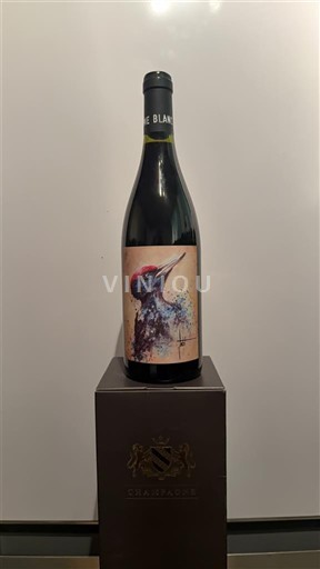 Languedoc ja Roussillon Katalonianrinteet Domaine Blanc Plume 2020