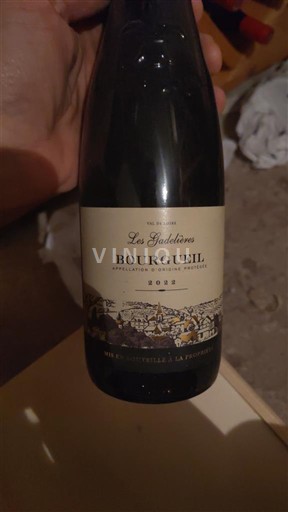 Valle della Loira Bourgueil Domaine S Ouches Les Gadelières 2022