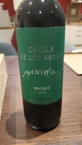 Mendoza Carola de Los Andes 2018
