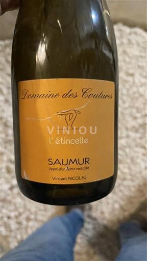 Valle della Loira Saumur Domaine S Coutures l'étincelle 2013