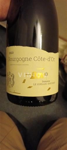 Bourgogne Bourgogne Côte d'Or Domaine Le Guelled-Ducourt 2023