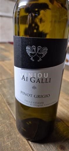 Vénétie Delle Venezie Ai Galli 2023