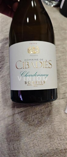 Languedoc và Roussillon Vùng đất Oc Domaine Cibadiès Chardonnay 2024