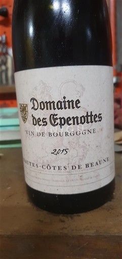 Borgogna Hautes Côtes de Beaune Domaine S Epenottes 2015