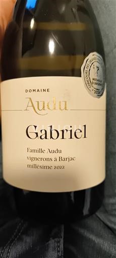 Thung lũng Rhône Domaine Audu Gabriel 2022