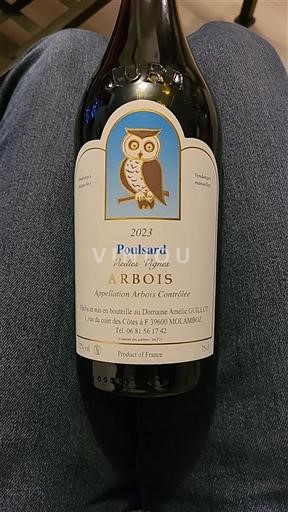 Jura Arbois Domaine André Guillot Poulsard Vieilles Vignes 2023