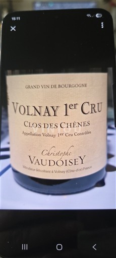 Burgundija Volnay Premier Cru Christophe Vaudoisey Clos des Chênes 2019